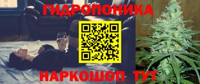 мяу мяу мука Лесосибирск