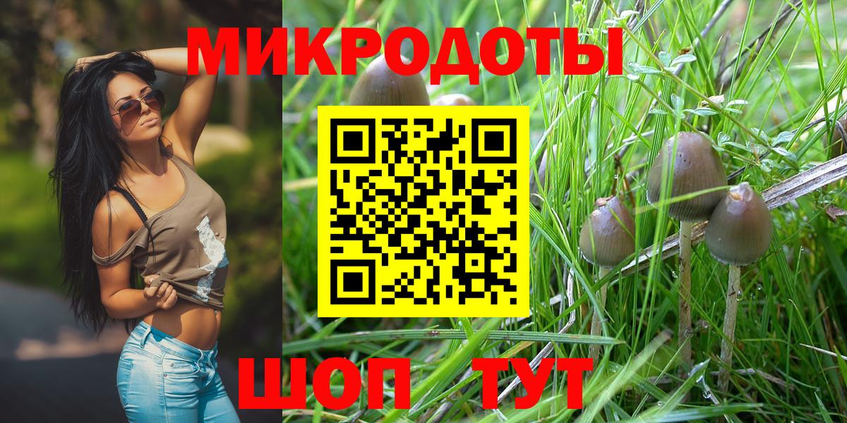 Псилоцибиновые грибы Psilocybine cubensis Ипатово